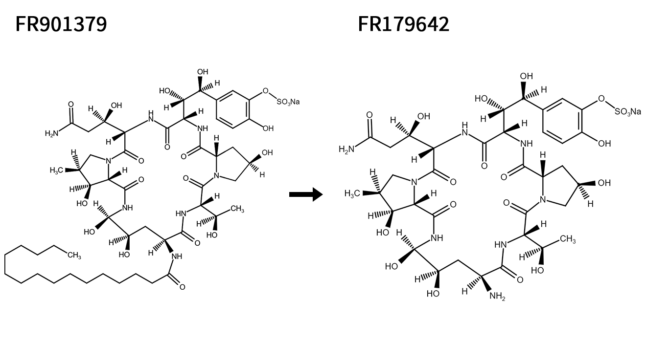 FR901379 → FR179642