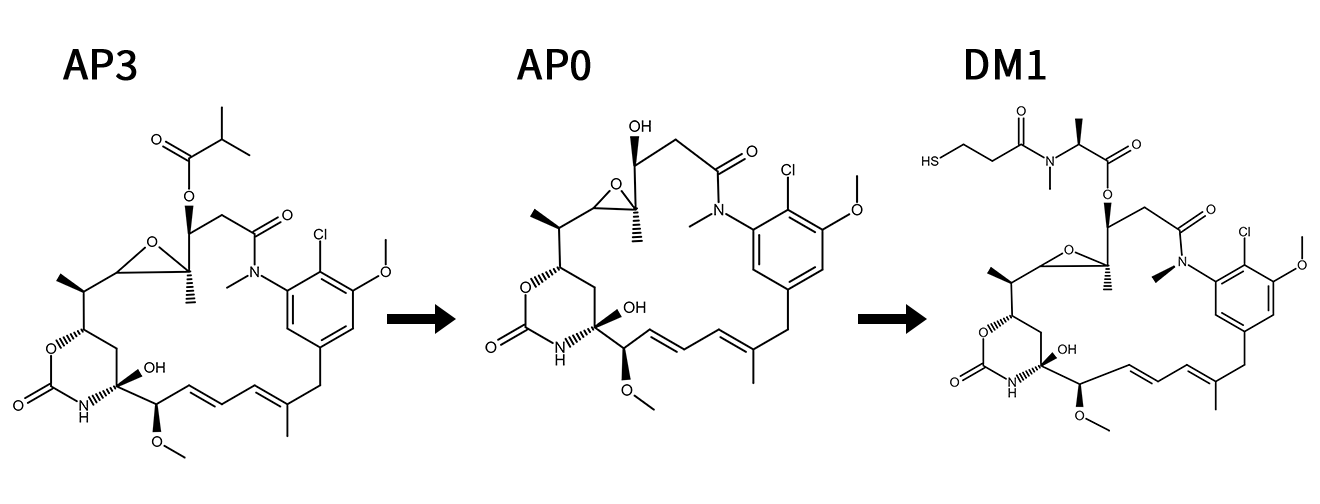 Ansamitosin P3 (AP3) → Mertansine (DM1)