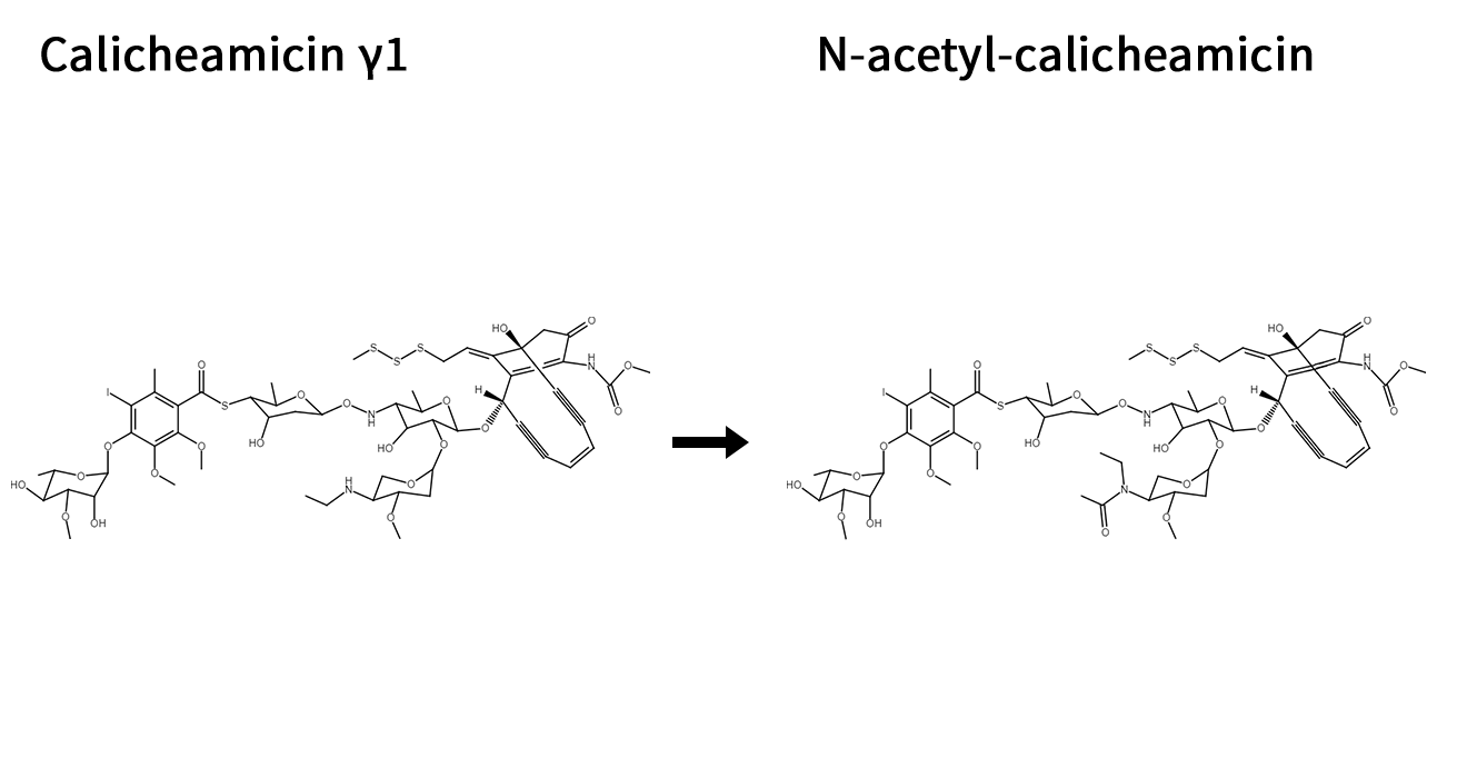 CALICHEAMICIN γ<sup>I</sup> → N-ACETY-CALICHEAMICIN